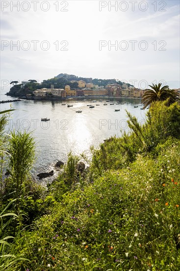 Village with beach and colourful houses by the sea, Baia del Silenzio, Sestri Levante, Province of Genoa, Riveria di Levante, Liguria, Italy, Europe