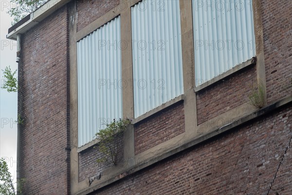 Broken windows and overgrown bricks on the facade of an old building