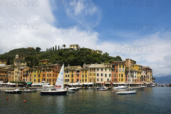 Village with colourful houses and harbour by the sea, Portofino, Province of Genoa, Liguria, Italy, Europe