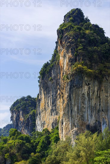 Limestone cliffs at Railay Beach, limestone, limestone cliffs, travel, holiday, tourism, nature, natural landscape, Andaman Sea, climbing cliffs, mountain, rock, rock, bizarre, sun, sunny, tropical, tropical, lagoon, sea, ocean, palm trees, holiday paradise, Siam, paradise, Asian, landscape, Krabi, Thailand, Asia