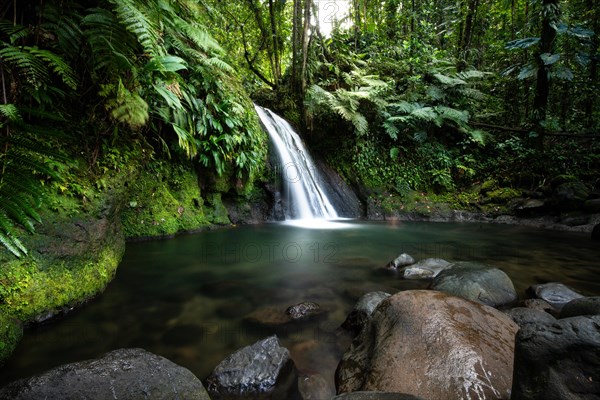 Pure nature, a waterfall with a pool in the forest. The Ecrevisses waterfalls, Cascade aux ecrevisses on Guadeloupe, in the Caribbean. French Antilles, France, Europe