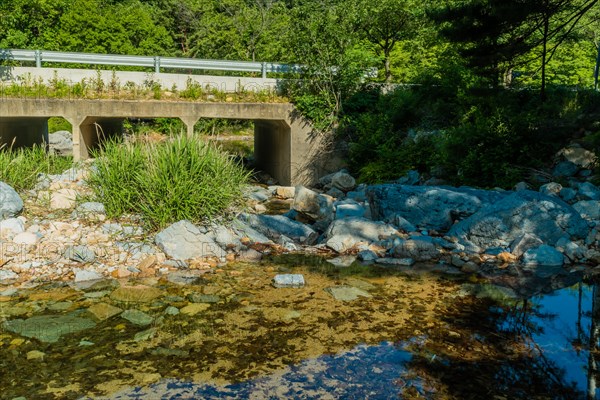 Stream running under a bridge with clear water revealing rocks beneath and lush greenery on the sides, in South Korea