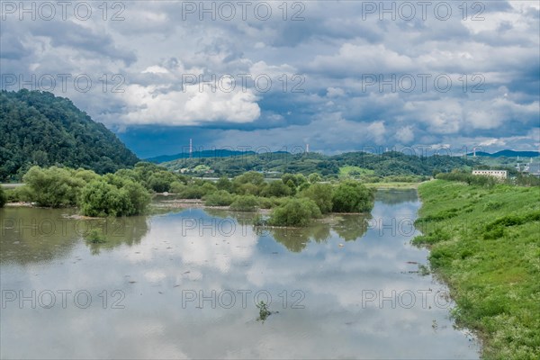 Landscape of tall damaged trees in flooded river after torrential monsoon rainfall in Daejeon South Korea