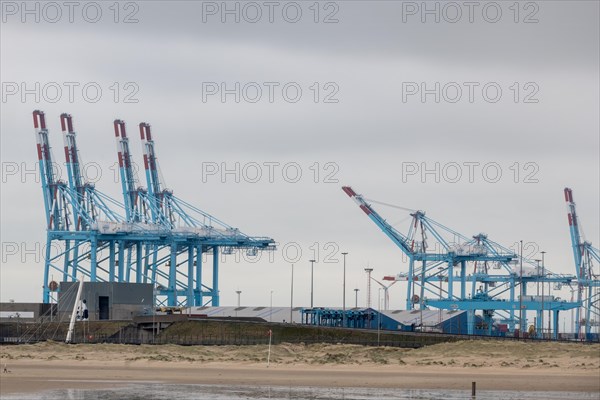 Container cranes in the harbour area stand over an empty sandy beach under a cloudy sky, Zeebrugge, Flanders, Belgium, Europe