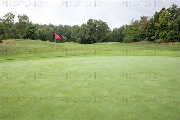 A quiet golf course with a red flag on the green and surrounded by trees