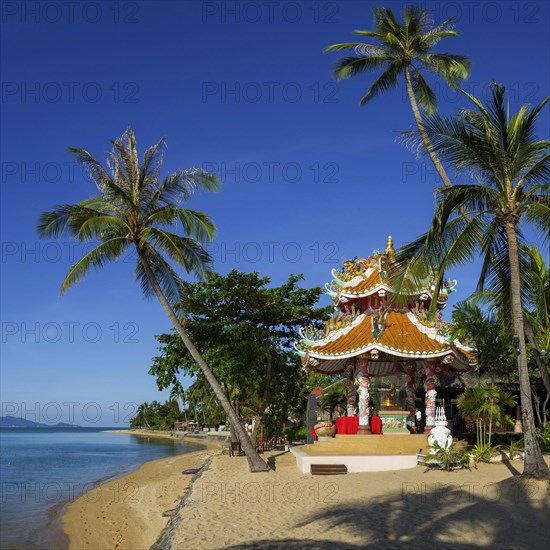 Buddhist temple at Maenam Beach, beach, sea, religion, temple complex, Buddhism, sacred, religious, world religion, offering, pilgrimage site, pray prayer, Asian, Buddha, colourful, tourism, travel, culture, history, world religion, palm tree, outside, building, faith, Koh Samui, Thailand, Asia