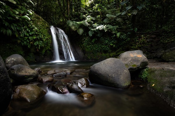 Pure nature, a waterfall with a pool in the forest. The Ecrevisses waterfalls, Cascade aux ecrevisses on Guadeloupe, in the Caribbean. French Antilles, France, Europe