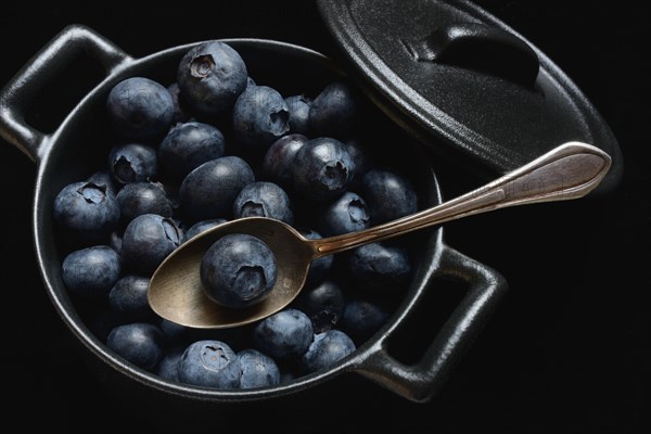 Blueberries with spoon in pots, cultivated blueberry, Vaccinium