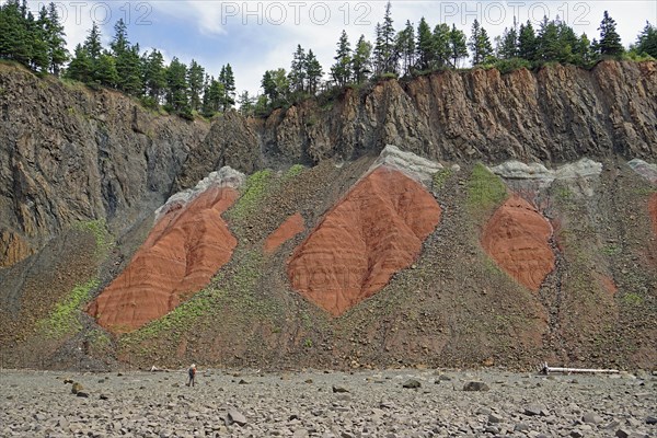 Cliffs, red sandstone, Five Islands Provincial Park, Fundy Bay, Nova Scotia, Canada, North America