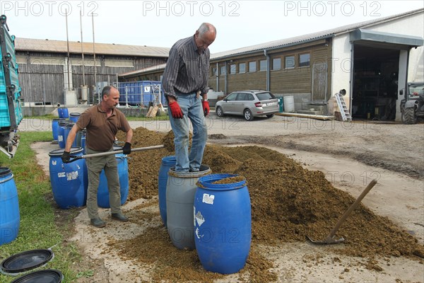 Hunter filling apple pomace into barrels as deer feed in winter, Allgaeu, Bavaria, Germany, Europe