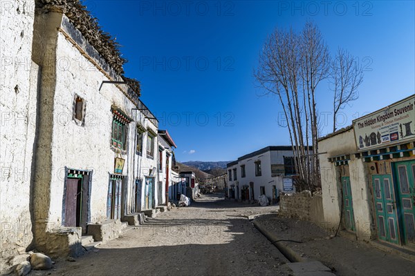 Tibetan houses in Lo Manthang, capital of the Kingdom of Mustang, Nepal, Asia