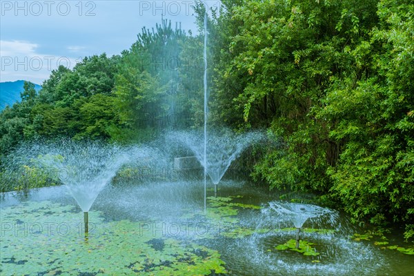 A tranquil pond with fountains, water lilies, and surrounded by green trees, in South Korea