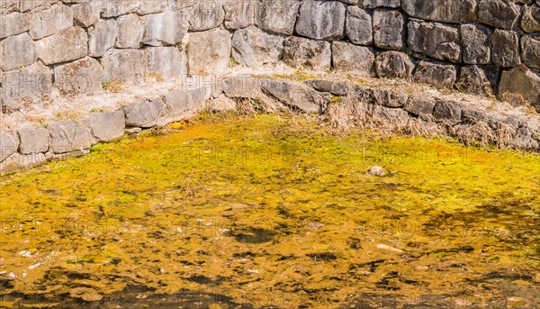 Bright sunlight on green algae-covered water near a rough textured stone wall, in South Korea