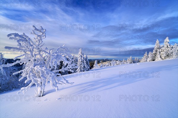 Winter on the Feldberg, Breisgau-Hochschwarzwald district, Baden-Wuerttemberg, Germany, Europe