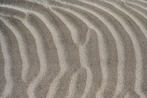 Details and structures, Dune landscape, Dunes, Playa de Famara, Lanzarote, Canary Islands, Spain, Europe