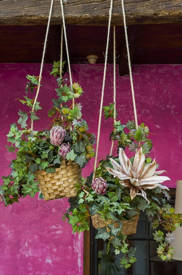 Decoration with flowers in front of magenta plaster wall, flora, decoration, plants, decorated, colourful, harmonious, play of colours, florist, plaster wall, summery, courtyard, terrace, daylight, basket, flower basket, Spain, Europe