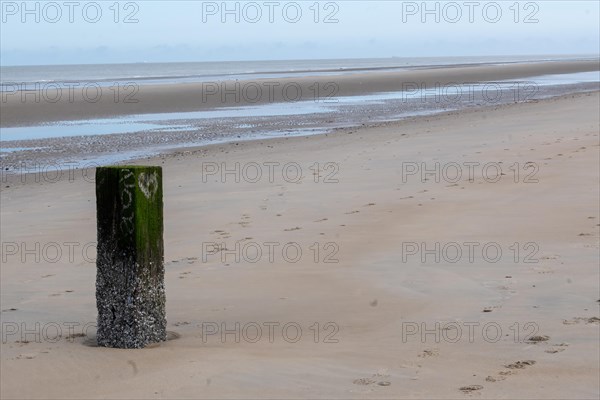 Single post on an empty beach at low tide with wet sand, DeHaan, Flanders, Belgium, Europe