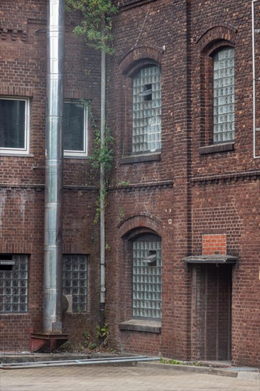 Historic building with several windows and ivy on the outer wall