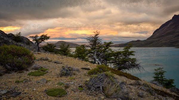 Evening atmosphere at Lake Belgrano, Perito Moreno National Park, Patagonia, Argentina, South America