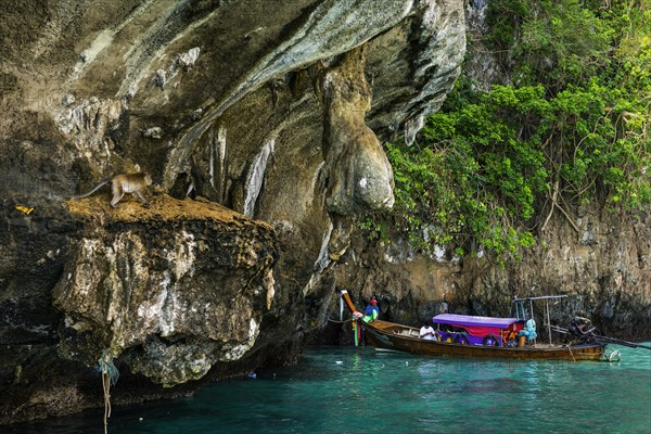 Monkey beach at Maya Bay, monkey, monkey beach, animal, boat, wooden boat, bay, bay of the sea, sea, ocean, Andaman Sea, tropics, tropical, island, rock, rock, water, fishing boat, travel, tourism, limestone, natural landscape, paradisiacal, holiday, dream trip, holiday paradise, flora, paradise, coastal landscape, nature, idyllic, turquoise, Siam, exotic, travel photo, Ko Phi Phi Don, Thailand, Asia