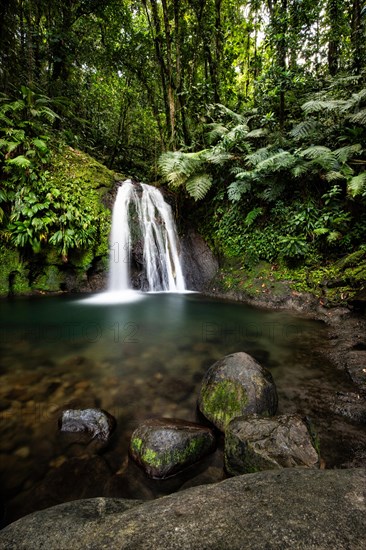 Pure nature, a waterfall with a pool in the forest. The Ecrevisses waterfalls, Cascade aux ecrevisses on Guadeloupe, in the Caribbean. French Antilles, France, Europe