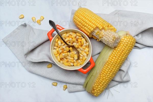 Fresh maize kernels in pots and cobs, corn (Zea mays)