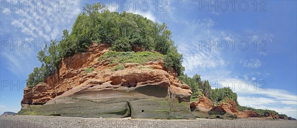 Wooded cliffs, red sandstone, Five Islands Provincial Park, Fundy Bay, Nova Scotia, Canada, North America