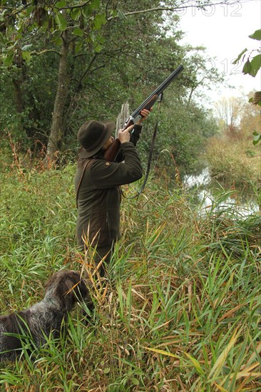 Female hunter aiming at flying mallard (Anas platyrhynchos) on the bank of a body of water during a waterfowl hunt for ducks, Allgaeu, Bavaria, Germany, Europe