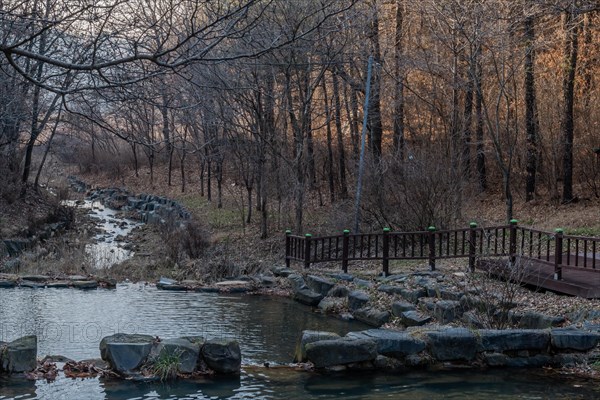 Stream flowing through a wooded area with a bridge at dusk, creating a peaceful scene, in South Korea