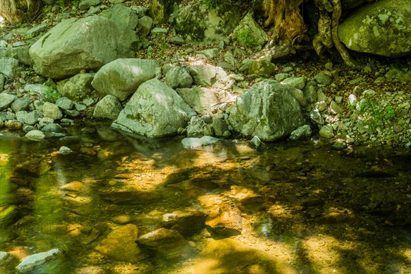 Sunlight reflects off the clear water of a rock-filled forest stream, in South Korea