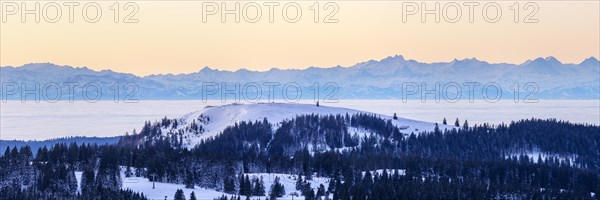 View from the Feldberg over the Herzogenhorn to the Swiss Alps, in front of sunrise, Breisgau-Hochschwarzwald district, Baden-Wuerttemberg, Germany, Europe