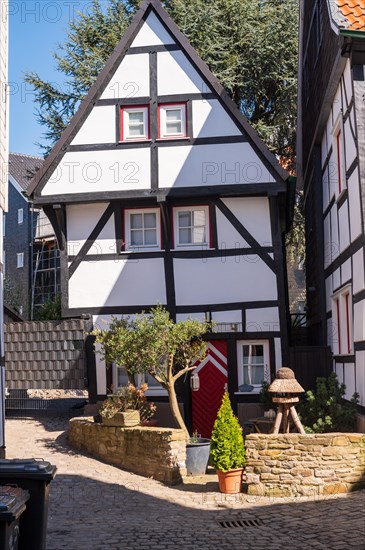 Small half-timbered house with red door and potted plants in the sunshine, Old Town, Hattingen, Ennepe-Ruhr district, Ruhr area, North Rhine-Westphalia