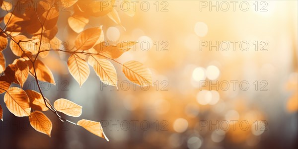 Tree branch with orange autumn leaves and blurry background with bokeh lights. KI generiert, generiert AI generated