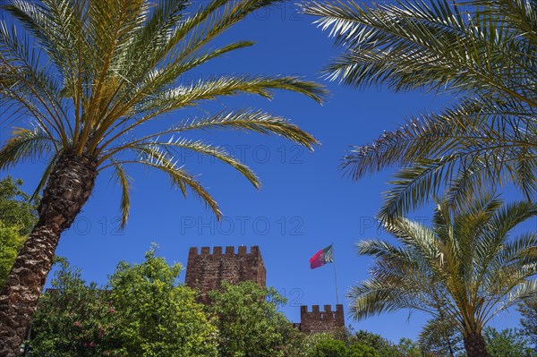 The castle of Silves with Portuguese national flag, building, old, history, palm tree, blue sky, Middle Ages, Moorish, Moors, historical, history, Algarve, Portugal, Europe