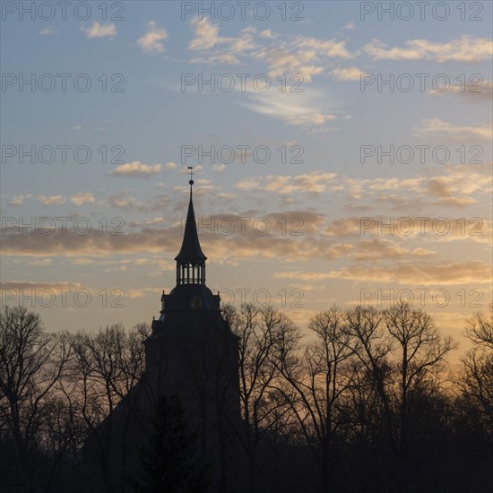 Church, clouds, trees, morning atmosphere, St. Michaelis, Lueneburg, Lower Saxony, Germany, Europe