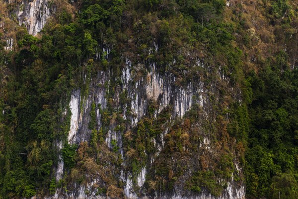 Limestone rocks in Cheow Lan Lake in Khao Sok National Park, nature, travel, holiday, lake, reservoir, landscape, rock, rock formation, attraction, rock face, water, tourism, boat trip, excursion, boat trip, nature reserve, landscape, natural landscape, travel photo, Thailand, Asia