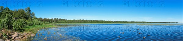 Panoramic view of a beautiful lake with lush green trees at the beach a sunny summer day, Hornborgasjoen, Sweden, Europe