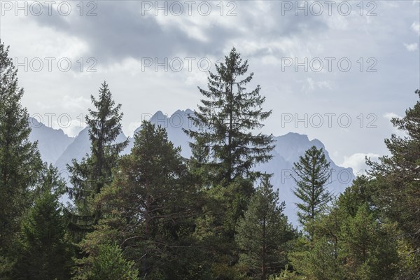 Wetterstein mountains with Zugspitze massif and forest in autumn, hiking trail Kramerplateauweg, Garmisch-Partenkirchen, Upper Bavaria, Bavaria, Germany, Europe