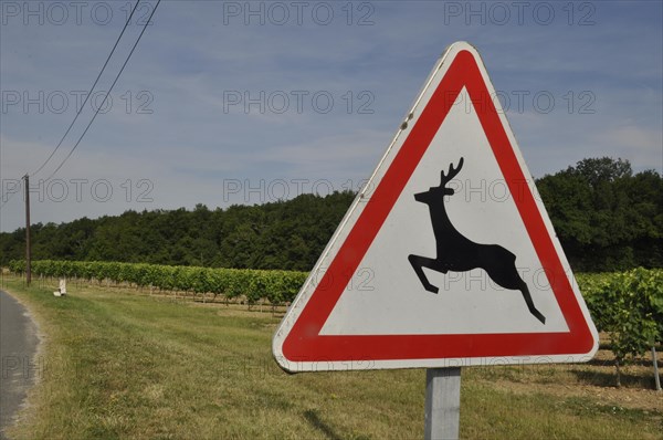 Road sign indicating the passage of wild animals in France