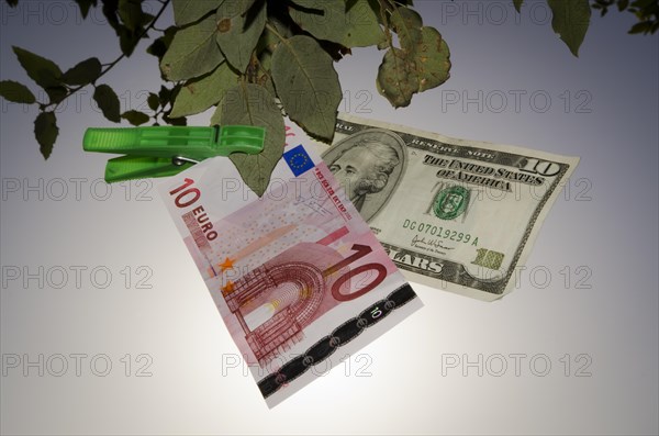 Banknote of Ten Euro and Dollar Hanging on a Tree Branch Against Clear Sky in Switzerland