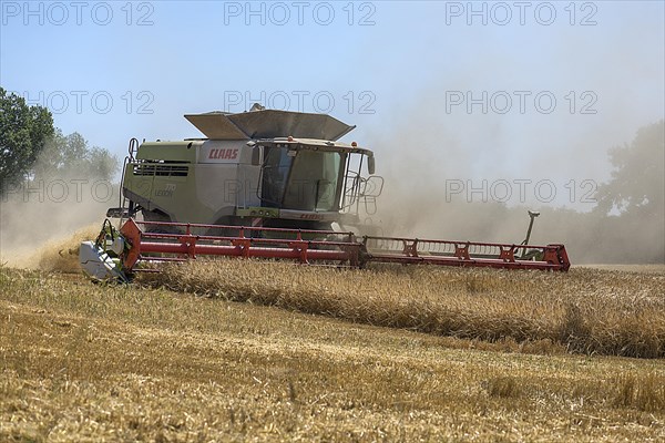 Combine harvester on a barleys (Hordeum vulgare), Mecklenburg-Vorpommern, Germany, Europe