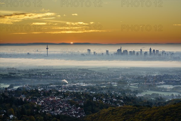 View of Frankfurt am Main, skyline at sunrise with fog, Hesse, Germany, Europe