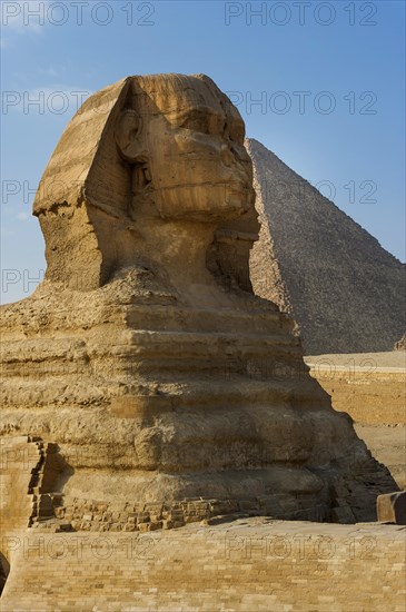 Sphinx of Giza, desert, wonder of the world, building, sculpture, monument, architecture, structure, ancient, history, history of the earth, history of mankind, monument, world history, epoch, kingdom, pharaoh, limestone, monument, human head, lion body, attraction, famous, landmark, Cairo, Egypt, Africa