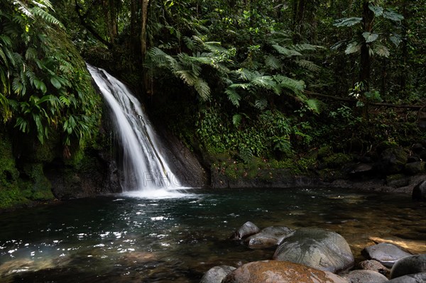 Pure nature, a waterfall with a pool in the forest. The Ecrevisses waterfalls, Cascade aux ecrevisses on Guadeloupe, in the Caribbean. French Antilles, France, Europe