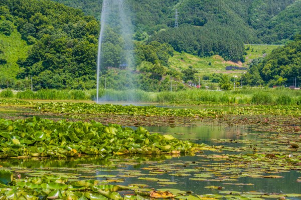 A serene pond dotted with water lilies and a fountain set against a hilly backdrop, in South Korea