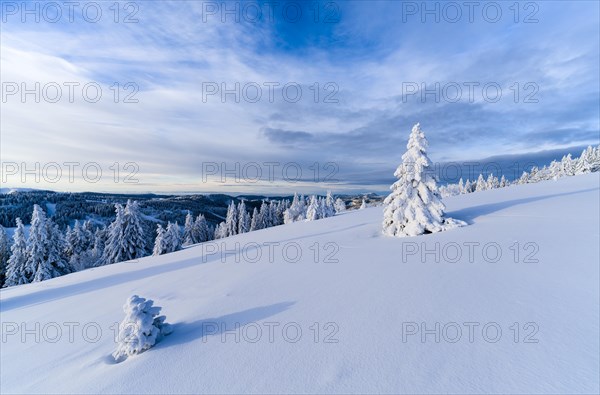 Winter on the Feldberg, Breisgau-Hochschwarzwald district, Baden-Wuerttemberg, Germany, Europe