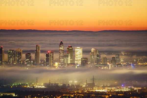 View of Frankfurt am Main, skyline at dawn with fog, Hesse, Germany, Europe