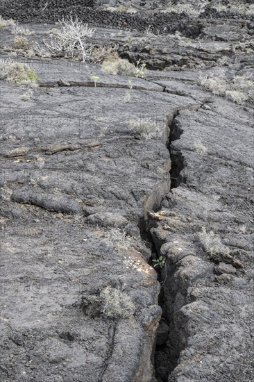 Lava structures, Costa Teguise, Lanzarote, Canary Islands, Spain, Europe