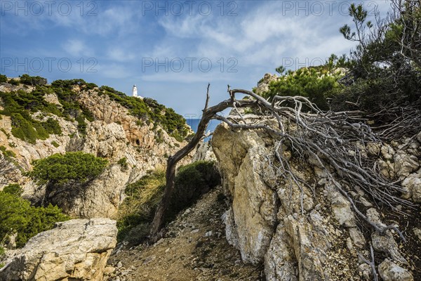 Lighthouse, Punta de Capdepera, Cala Ratjada, Majorca, Balearic Islands, Spain, Europe