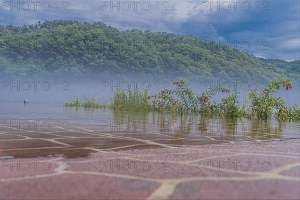 Flooded patio with encroaching plants and a foggy backdrop of a mountain under a cloudy sky, in South Korea